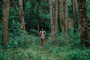 BIB: 
                            <button type="button" onclick="openModal(25237668)" class="btn btn-primary btn-sm float-right btn-popup" data-toggle="modal" data-target=".modal-high-quality">
                        <i class="fas fa-shopping-cart"></i> Add to Cart
                    </button>
                                            <button type="button" onclick="isThisMe(25237668, true)" class="btn btn-success btn-sm float-right btn-popup btn-isme hidden" data-toggle="tooltip" data-placement="bottom" title="นี่คือรูปของคุณใช่ไหม คลิกที่นี่เพื่อเอาเข้าอัลบั้ม">
                        <i class="fas fa-plus"></i> Add to album
                    </button>
                    <button type="button" onclick="isThisMe(25237668, false)" class="btn btn-warning btn-sm float-right btn-popup btn-isnotme hidden">
                        <i class="fas fa-ban"></i> Remove from album
                    </button>